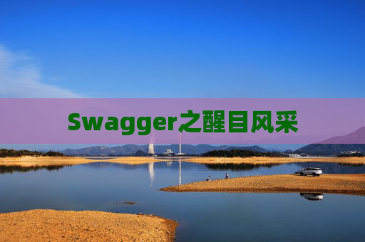 Swagger之醒目风采